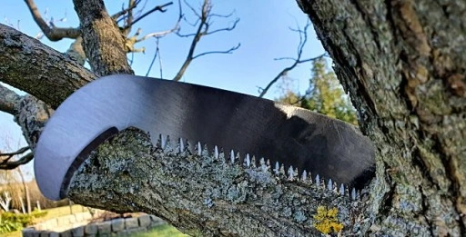 Piła z hakiem teleskopowym do cięcia gałęzi i drewna 5,5m KT-V1501-550