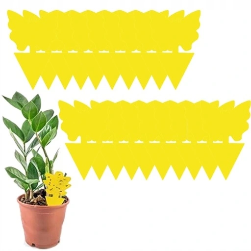 60x ŻÓŁTY LEP DO DONICZEK MOTYL na ziemiórki mszyce muszki owocówki