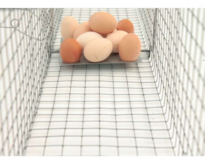 Pułapka łapka klatka na kuny łasice łaski szczury