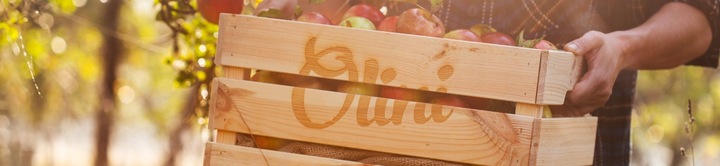 Zakwas buraczany dla dzieci 500 ml Olini Zakwas z buraków Na Zaparcia