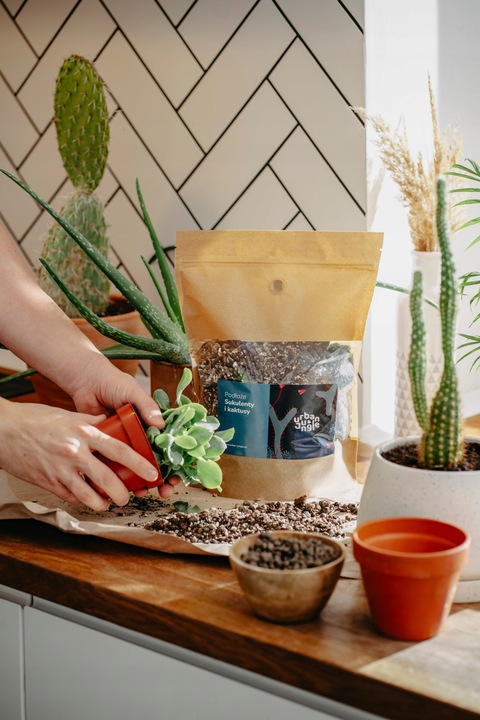 Ziemia do SUKULENTÓW i KAKTUSÓW 3L bigos, podłoże