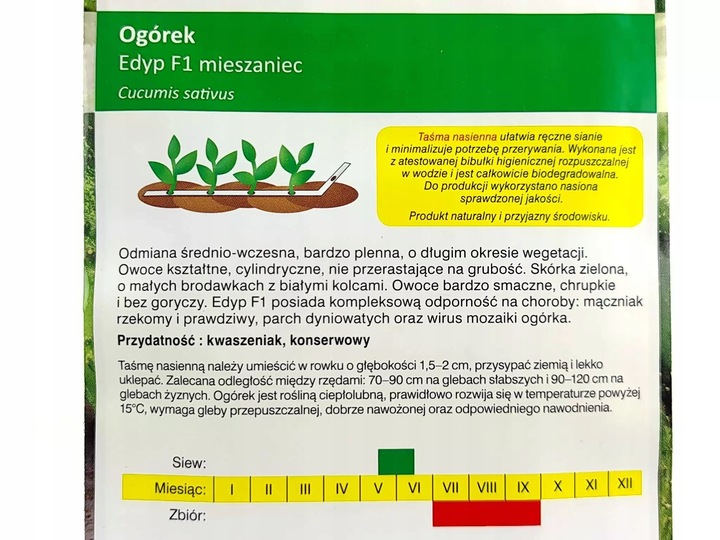 ZESTAW 2240 Sprawdzonych Nasion Warzyw na taśmie