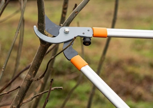 Sekator do Gałęzi Teleskopowy Ogrodowy Bradas