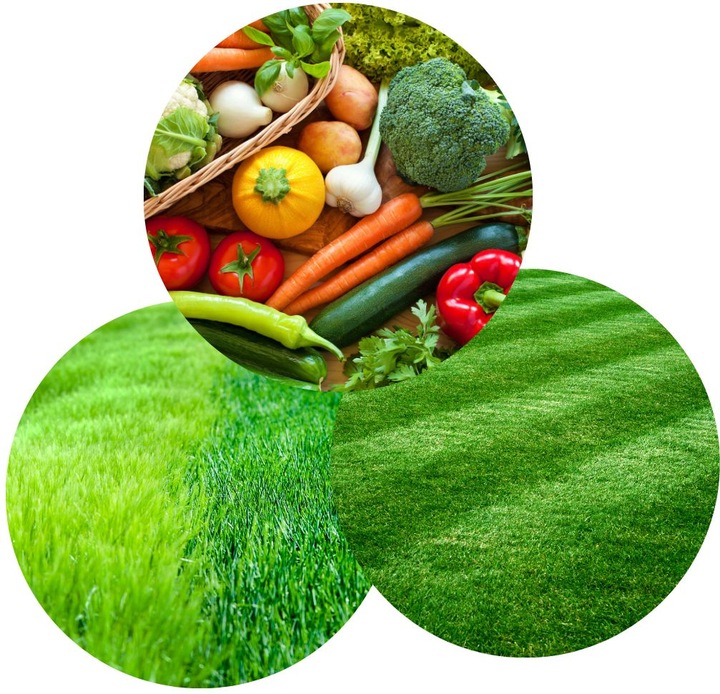 Wapno Granulowane z magnezowe DOLOKORN 25kg |Odkwasza glebę, poprawa