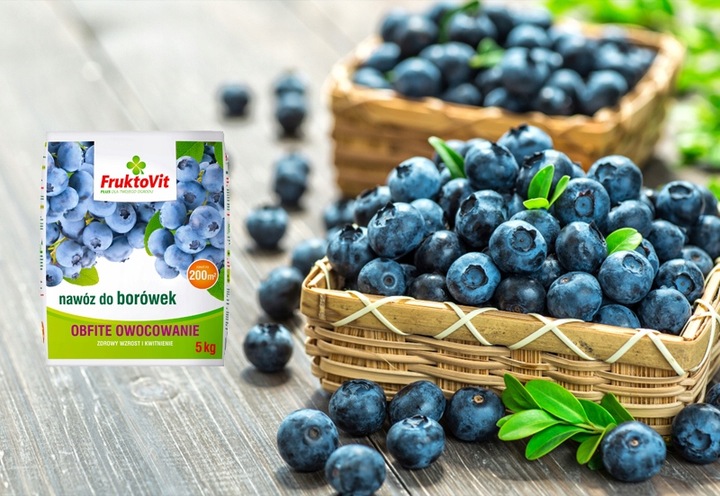 NAWÓZ DO BORÓWEK BORÓWKI AMERYKAŃSKIEJ KWAŚNOLUBNYCH ITP FRUKTOVIT 5
