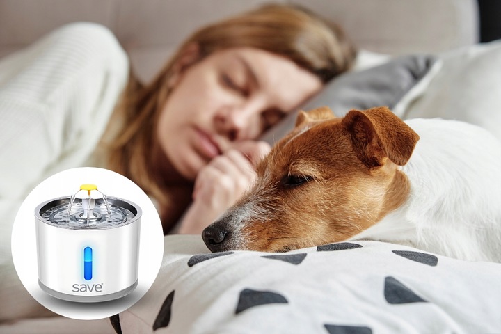 FONTANNA POIDEŁKO AUTOMATYCZNE DLA KOTA PSA CICHA + FILTR