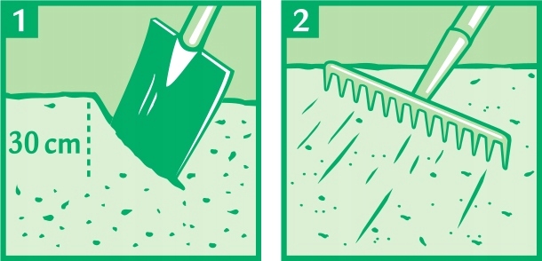 Trawa Samonawożąca 5KG Z MIKROKONICZYNĄ Koniczyna Odporna na suszę 200m2