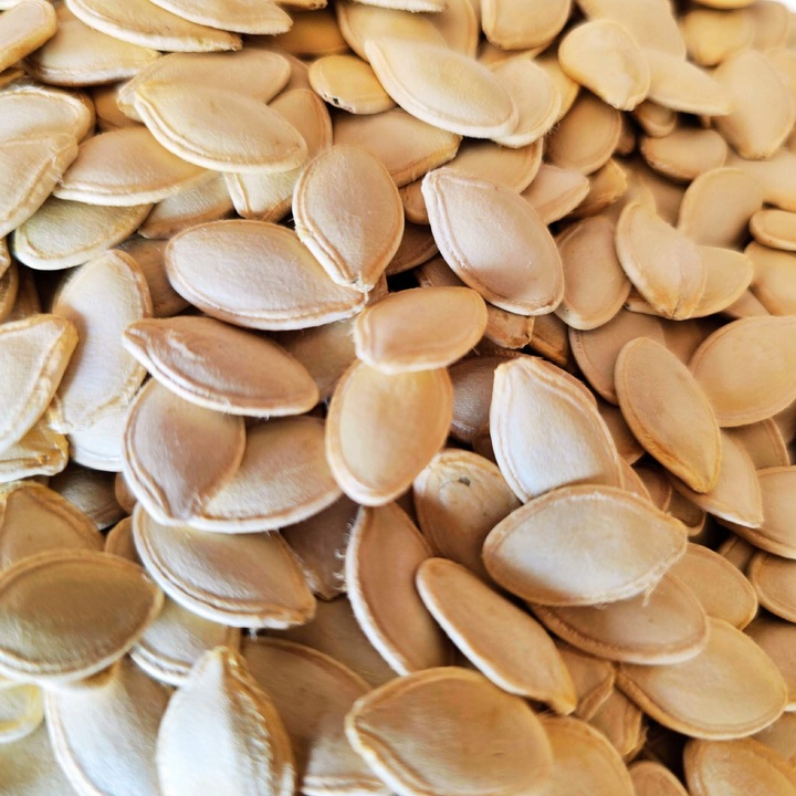 PESTKI DYNI W ŁUPINIE ŚWIEŻO PRAŻONE SOLONE 500g bezrantowe