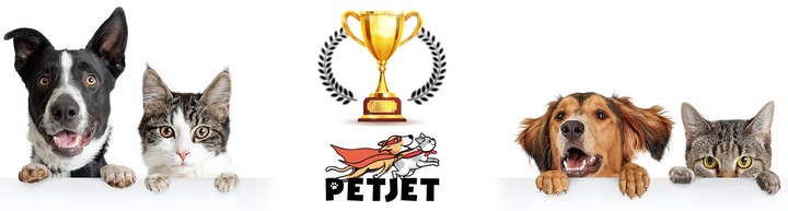 DUŻY ZESTAW ZABAWEK ZABAWKI DLA KOTA KOTÓW TUNEL WĘDKA PIŁKI MYSZ LEGOWISKO