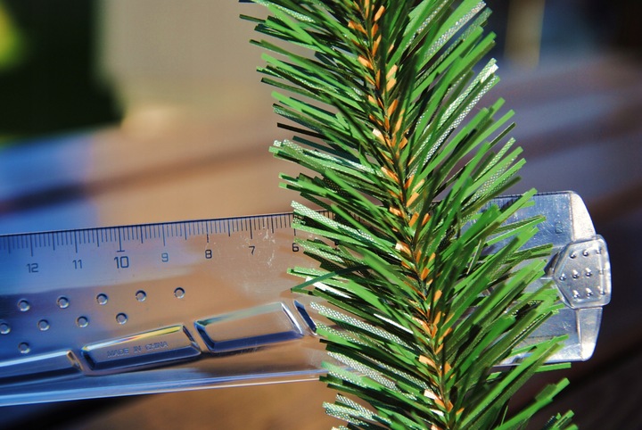 GIRLANDA ŚWIERKOWA 50 metrów(10sztx5m) stroik hurt