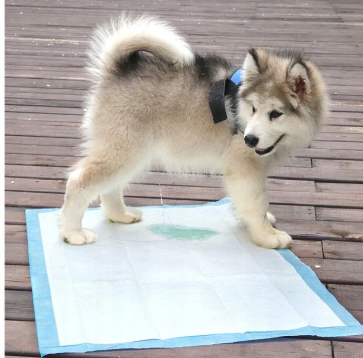 MATY Higieniczne Podkłady Chłonne dla PSA S 100szt