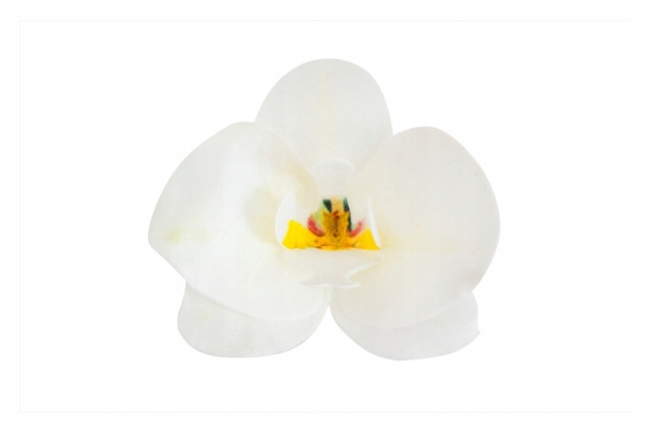 STORCZYK WAFLOWY ORCHIDEA KWIATY DEKORACJA NA TORT URODZINY BIAŁY 10 szt