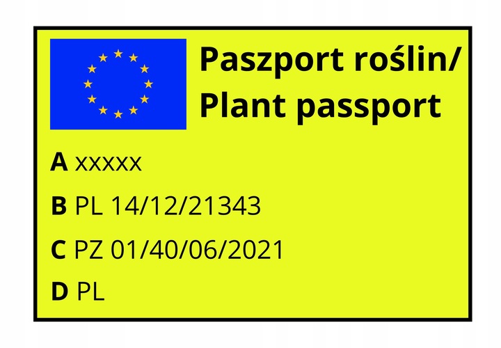 Jeżyna BEZKOLCOWA Gigant - jeżyna, co daje czadu!