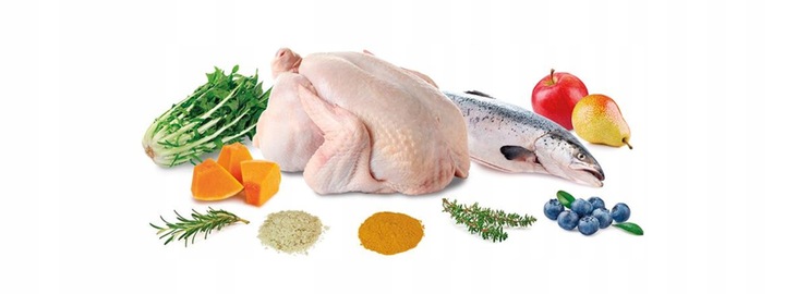 ARQUIVET FRESH PUPPY JUNIOR Półwilgotna karma dla szczeniąt INDYK ŁOSOŚ 10k