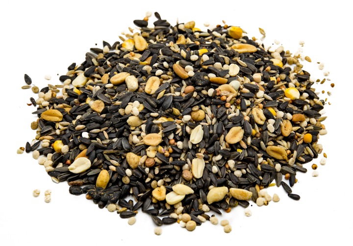 KARMA PREMIUM SŁONECZNIK ORZECH ZIARNO DO KARMNIK DLA DZIKICH PTAKÓW