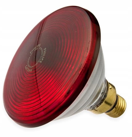 Philips Promiennik Podczerwieni PAR38 IR 150 W E27 – Terapia Cieplna