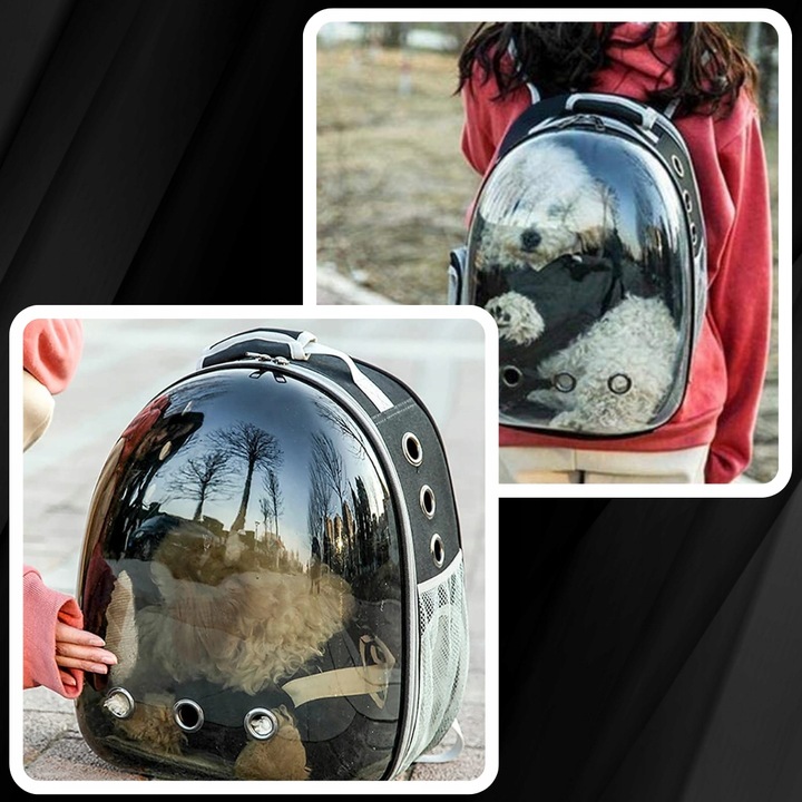 PLECAK DLA KOTA PSA TRANSPORTER PRZEZROCZYSTY WENTYLOWANY NA PSA NA KOTA