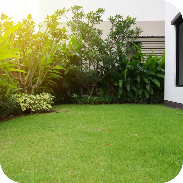 CHWASTOX NOWY TRIO 390 SL 200ml ŚRODEK CHWASTOBÓJCZY NA CHWASTY W