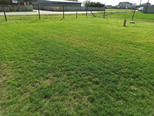 NASIONA TRAWY 5KG TRAWA SAMO ZAGĘSZCZAJĄCA ODPORNA UNIWERSALNA GREENATO