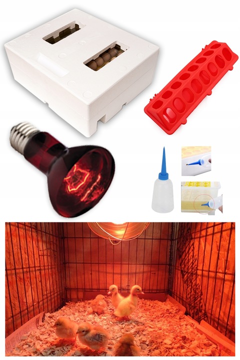 INKUBATOR AUTOMATYCZNY OVO do 56 JAJ wylęgarka klujnik + PRZEŚWIETLARKA