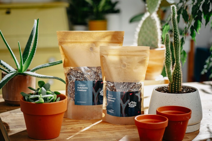Ziemia do SUKULENTÓW i KAKTUSÓW 3L bigos, podłoże