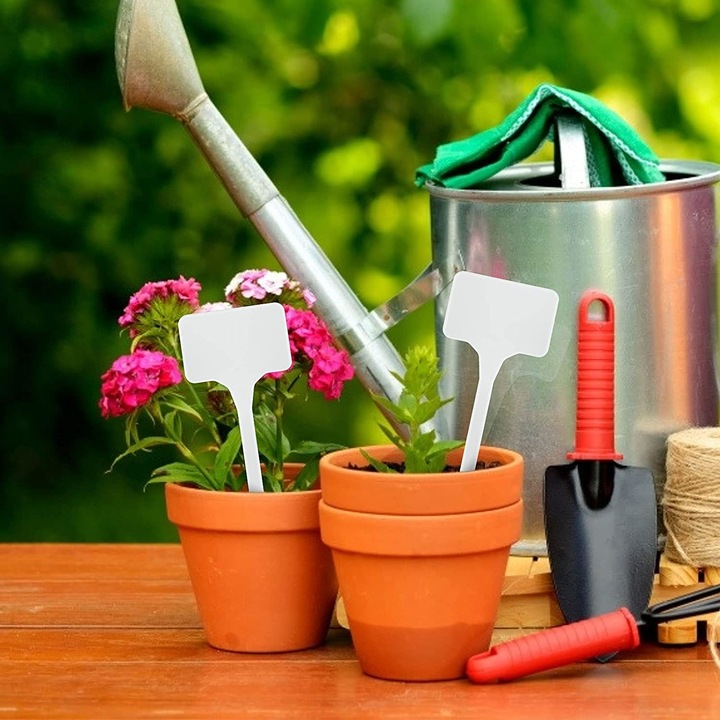 60x ETYKIETY TABLICZKI ZNACZNIK DO ROŚLIN SADZONEK