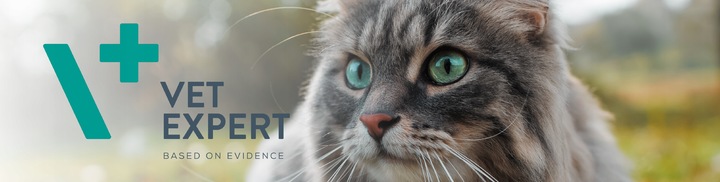 Suplement dla psów i kotów przeciw zjadaniu odchodów Vet Expert Coprovet