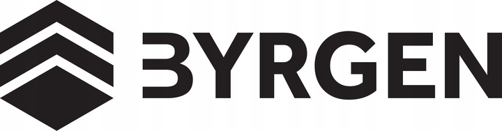 Frytkownica Beztłuszczowa Air Fryer BYRGEN 9L dwukomorowa 2400W