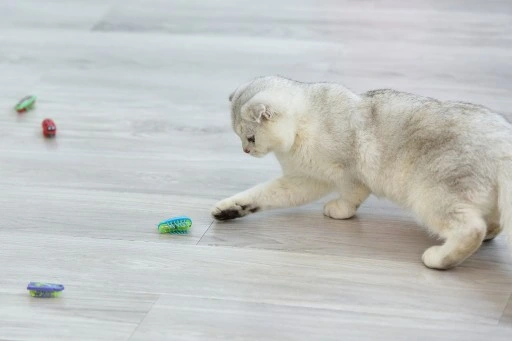 2x Karaluch robak insekt jak hexbug La Cucaracha Zabawka dla kota 4xBateria