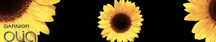 Rozjaśniacz Do Włosów Garnier Olia B+++