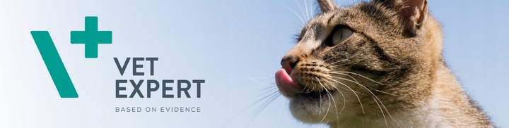 Suplement dla psów i kotów wsparcie wątroby Vet Hepatile 40 kaps. Twist Off