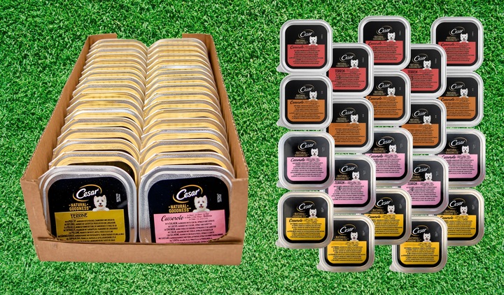 Karma Mokra dla Psa Cesar Natural Goodness mix smaków 34 szt x 100g