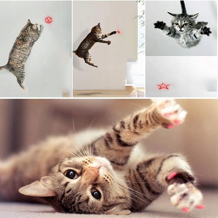 LASER WSKAŹNIK LASEROWY LATARKA ZABAWKA KOTA Ładowany przes USB Laser UV