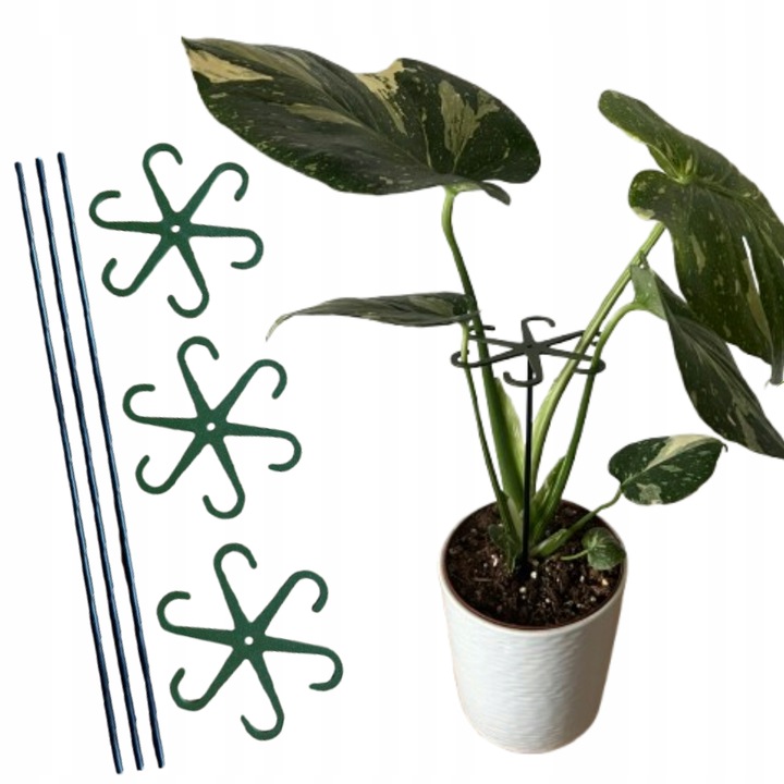 Podpórki do kwiatów podpórka chwytak z prętem 33cm OCTOPUS M 15cm 3 szt.
