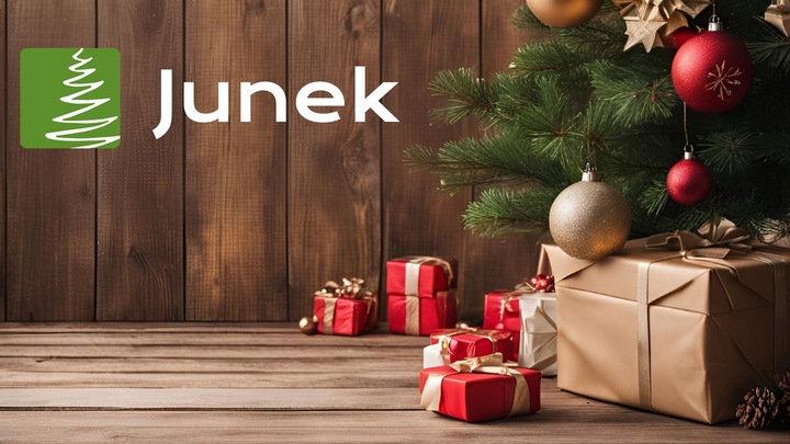 FIGURY DO SZOPKI BOŻONARODZENIOWEJ 21 CM 11 ELEMENTÓW