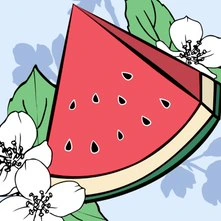 MEXX Fresh Splash For Her EDT 30ml