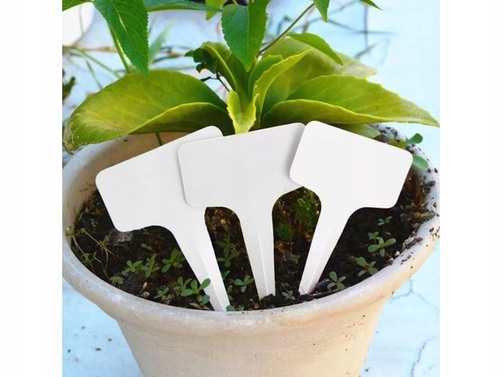 60x ETYKIETY TABLICZKI DO ROŚLIN SADZONEK + MARKER