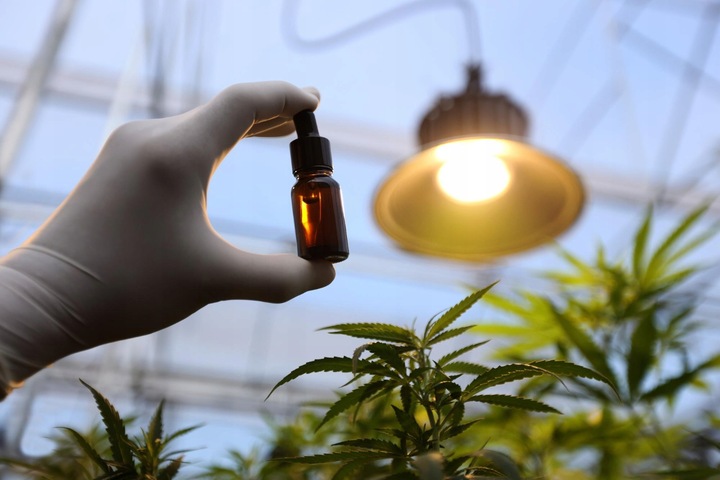 Olejek Konopny CBD Dla Psa 5% 11ml bez THC Weterynaryjny