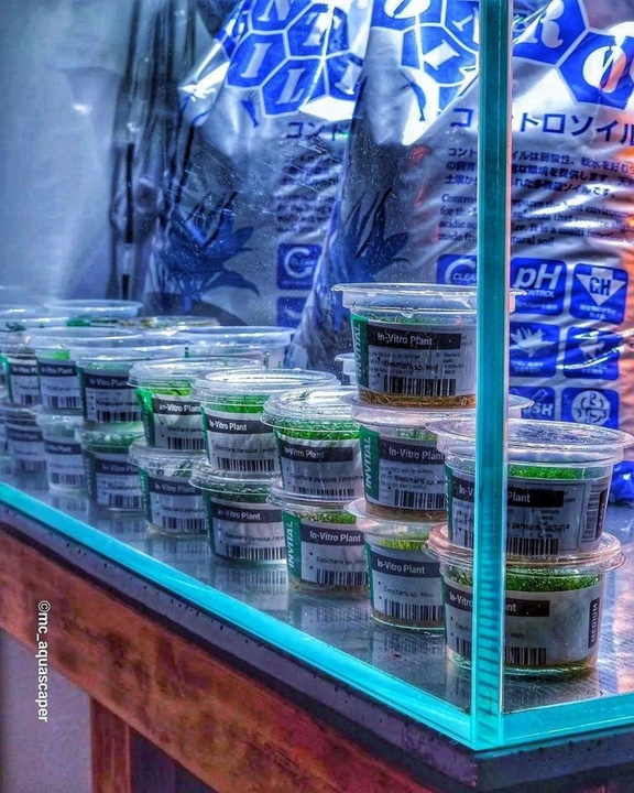 Controsoil 3l Normal substrat japoński