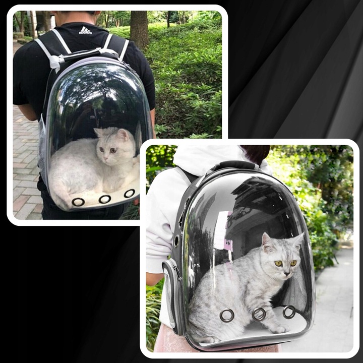 PLECAK DLA KOTA PSA TRANSPORTER PRZEZROCZYSTY WENTYLOWANY NA PSA NA KOTA