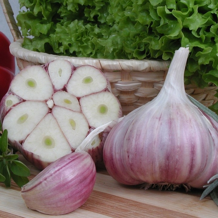 Czosnek zimowy Harnaś świeży Polski 1kg GIGA KALIBER