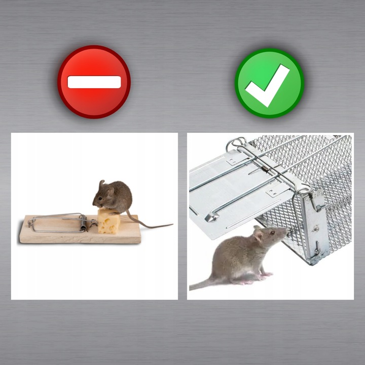 PUŁAPKA ŻYWOŁAPKA NA SZCZURY MYSZY GRYZONIE KUNY ŁAPKA DO ŁAPANIA