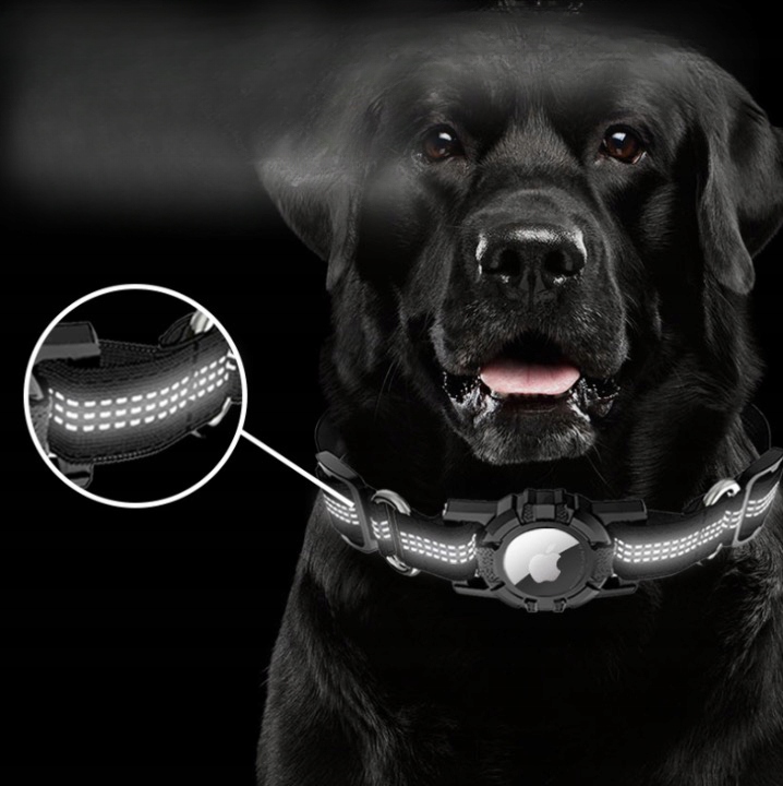 Obroża Uchwyt na Lokalizator Dla Psa Kota Psów M