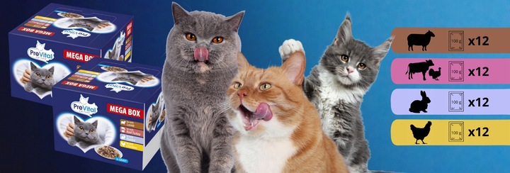 MOKRA KARMA DLA KOTA MIX SMAKÓW MEGA BOX SASZETKI W SOSIE 48X100G PREVITAL