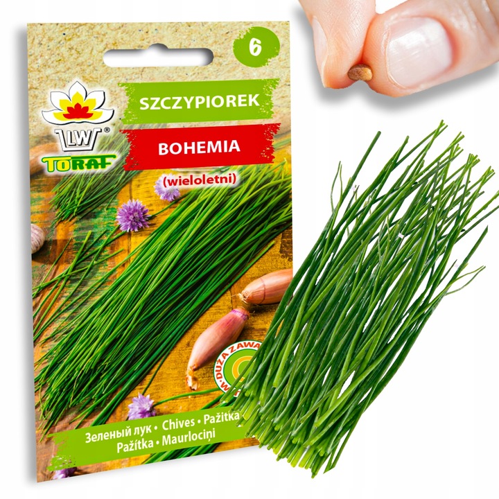 Nasiona warzyw marchew ogórek pietruszka burak NA DOBRY START UDANE PLONY