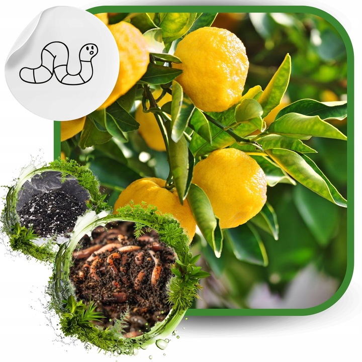 BIO Podłoże do Cytrusów 20l EKO Ziemia Oliwki Mango Awokado