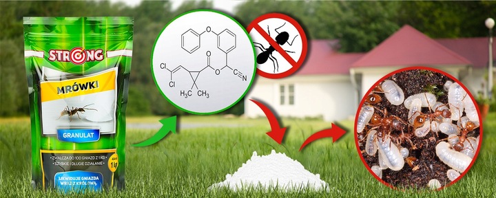 PREPARAT NA MRÓWKI, PROSZEK NA MRÓWKI DO DOMU I OGRODU, TRUTKA STRONG 1 KG