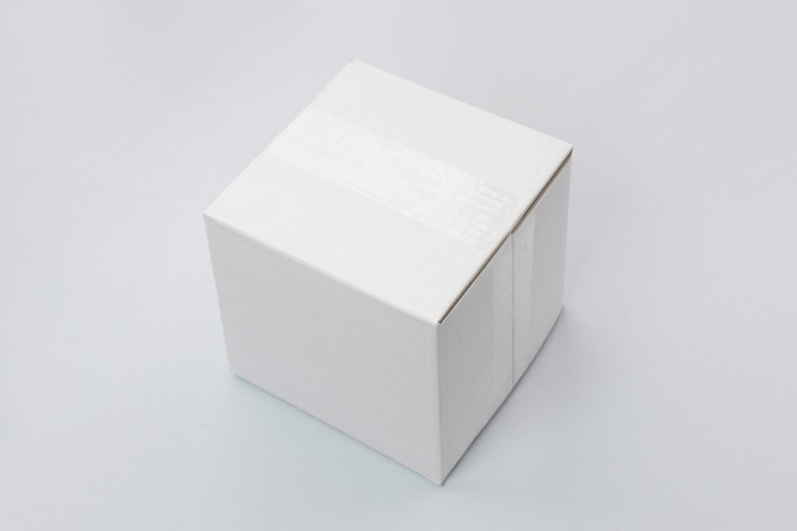 Obsessive gorset i stringi 810-COR Biały, L/XL