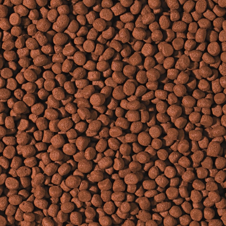 Tropical Pokarm dla ryb średnich i dużych mięsożernych pielęgnic 5L