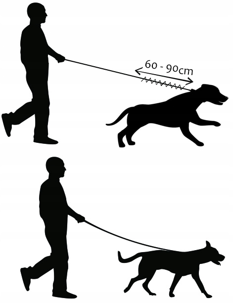 AMORTYZATOR DO SMYCZY TRESURY DLA SZARPIĄCEGO PSA
